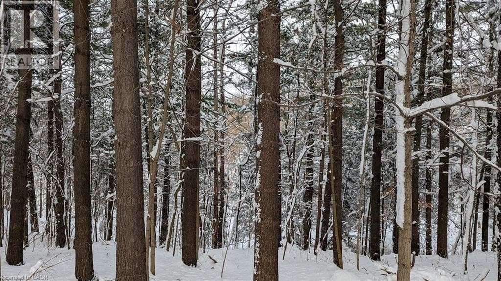 Detached for sale at 112 MITCHELL Street, Ayr, North Dumfries, Ontario, photo 46