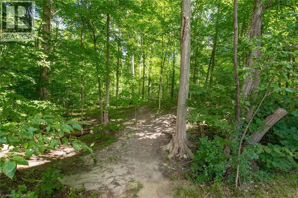 Apartment for sale at 50 BRYAN Court Unit# 111, Grand River South, Kitchener, Ontario, photo 38