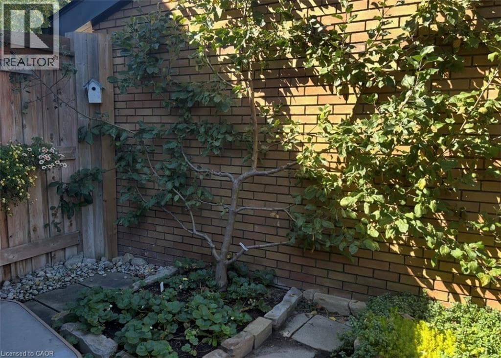 Detached for sale at 296 WEBER Street E, Auditorium, Kitchener, Ontario, photo 33