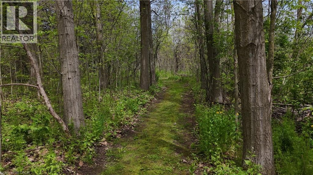 Detached for sale at 464 PIPER Street, Ayr, North Dumfries, Ontario, photo 44
