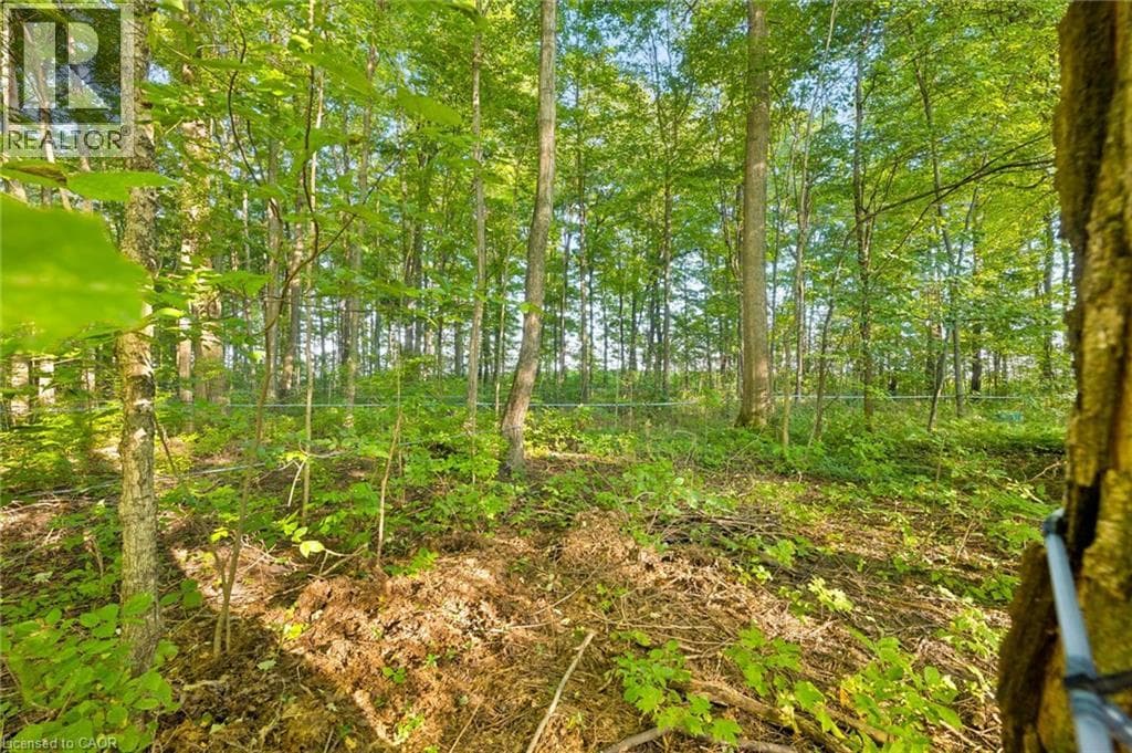 Detached for sale at 2018 GREENWOOD HILL Road, Wellesley, Wellesley, Ontario, photo 19