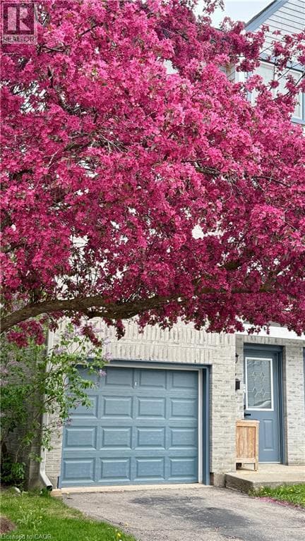 Townhouse for sale at 589 BEECHWOOD Drive Unit# 22, Rummelhardt, Waterloo, Ontario, photo 37