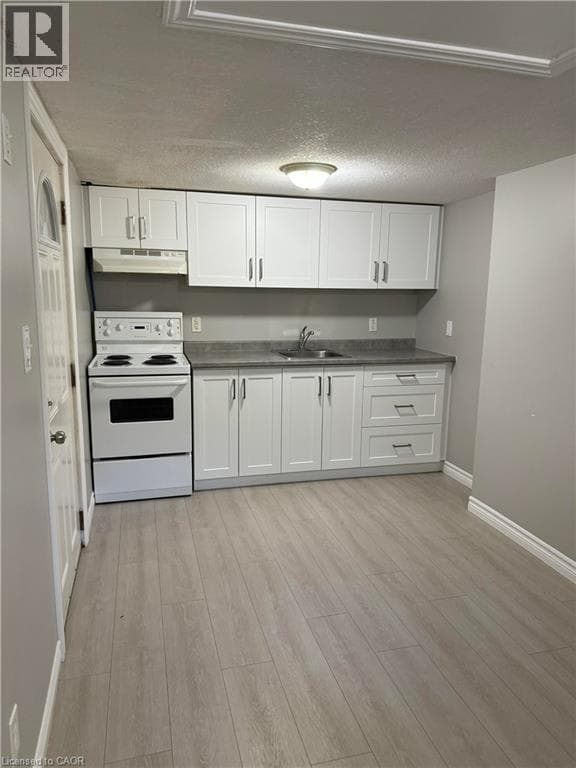 Multi-family for sale at 77 CEDAR Street S, Cedar Hill, Kitchener, Ontario, photo 2
